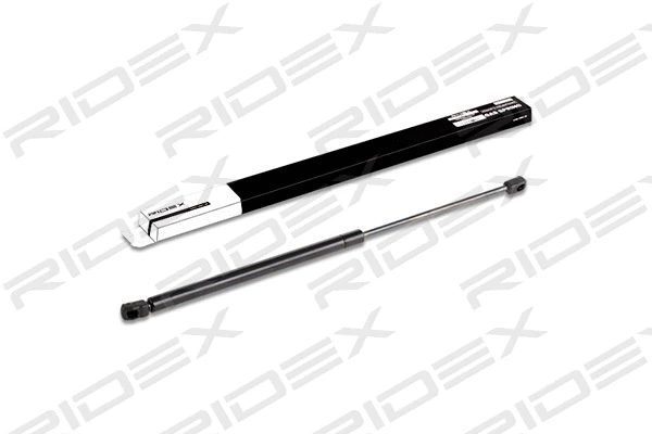Gas Spring, boot/cargo area (219G0254)