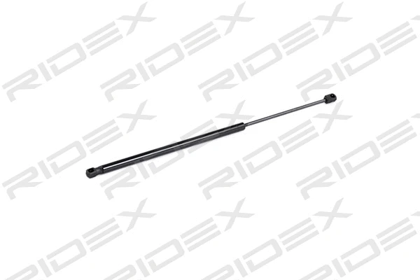 Gas Spring, boot/cargo area (219G0239)