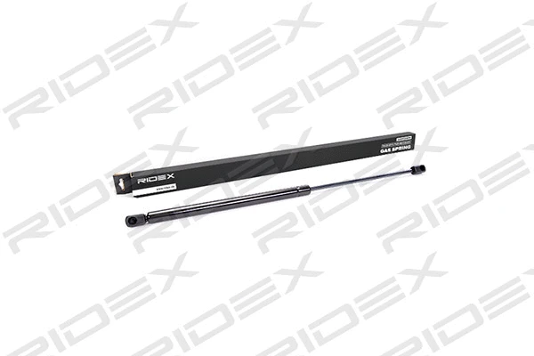 Gas Spring, boot/cargo area (219G0007)