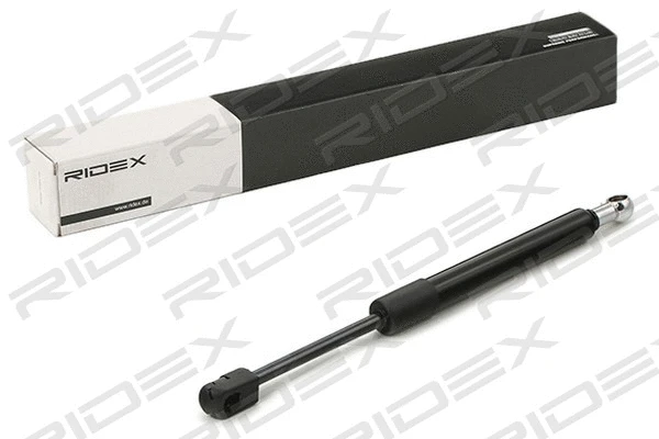 Gas Spring, boot/cargo area