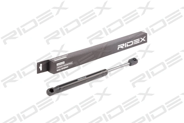 Gas Spring, boot/cargo area