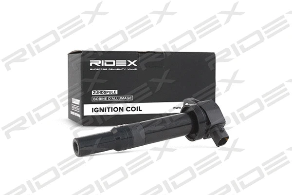 Ignition Coil (689C0115)