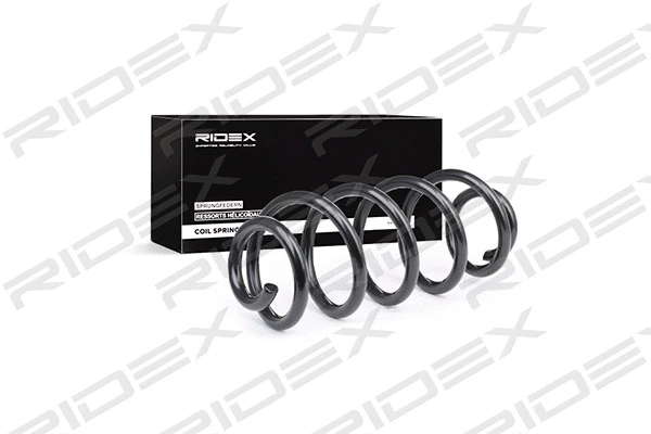 Suspension Spring (188C0224)