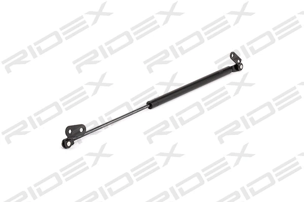 Gas Spring, boot/cargo area (219G0431)