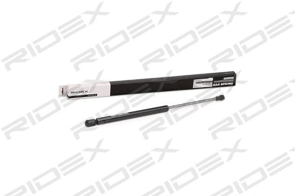 Gas Spring, boot/cargo area