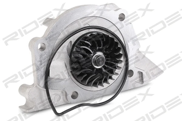 Water Pump & Timing Belt Kit