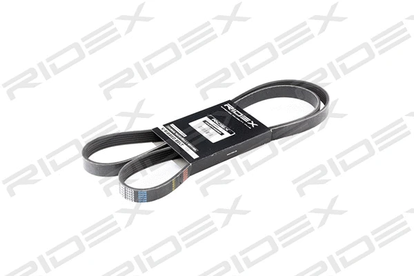 V-Ribbed Belt (305P0287)