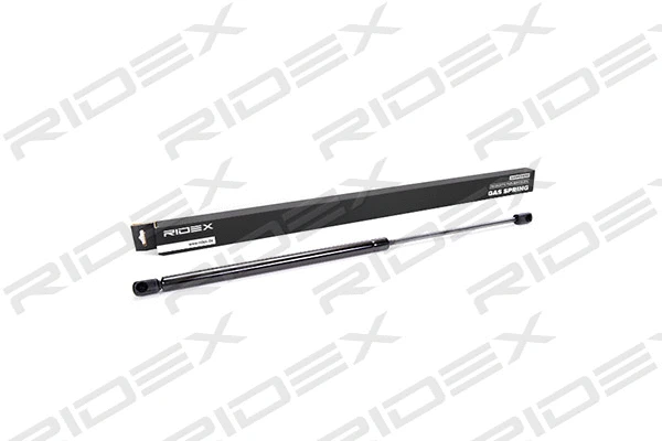 Gas Spring, boot/cargo area (219G0357)