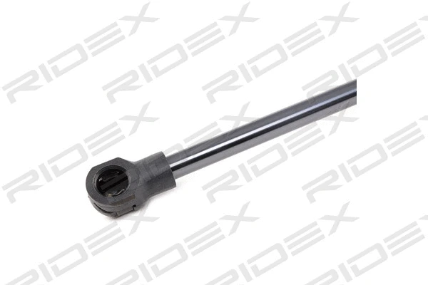 Gas Spring, boot/cargo area (219G0893)