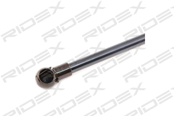 Gas Spring, boot/cargo area (219G0548)