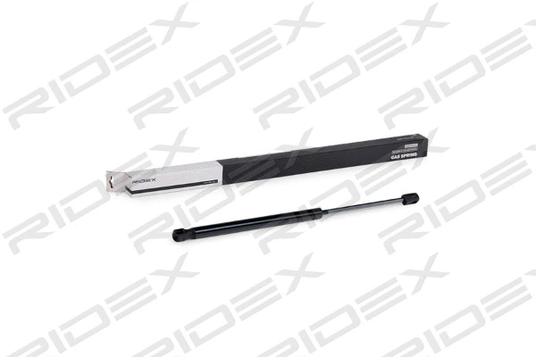 Gas Spring, boot/cargo area (219G0702)