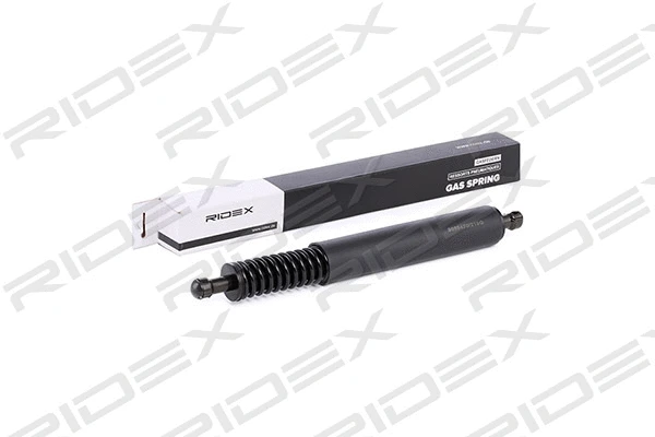 Gas Spring, boot/cargo area