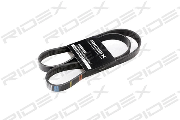 V-Ribbed Belt (305P0062)