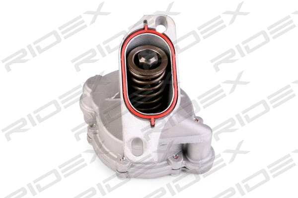 Vacuum Pump, braking system (387V0026)