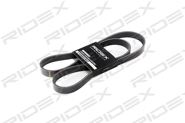 V-Ribbed Belt (305P0066)