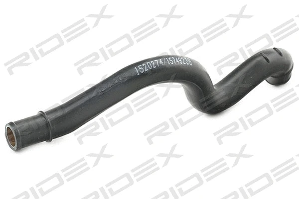 Hose, crankcase ventilation