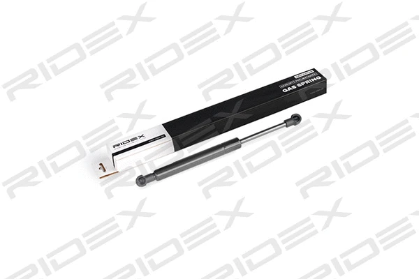 Gas Spring, boot/cargo area (219G0234)