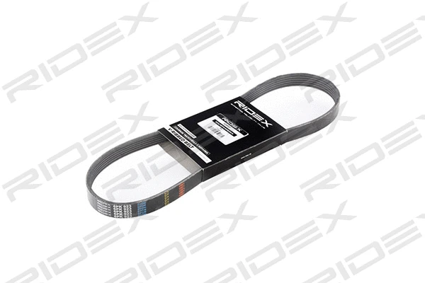 V-Ribbed Belt (305P0050)