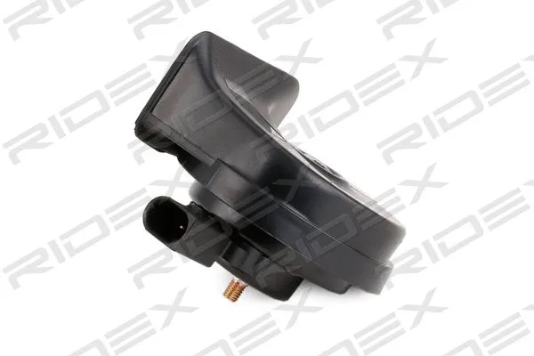 Trumpet Horn (196A0004)