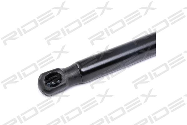 Gas Spring, boot/cargo area (219G0166)
