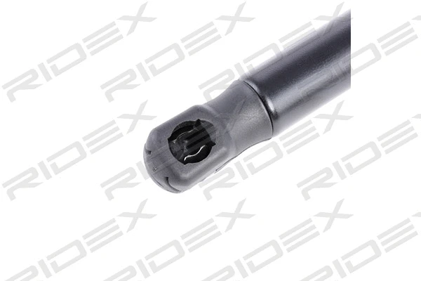 Gas Spring, rear window