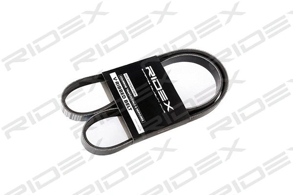 V-Ribbed Belt (305P0032)