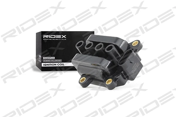 Ignition Coil (689C0284)