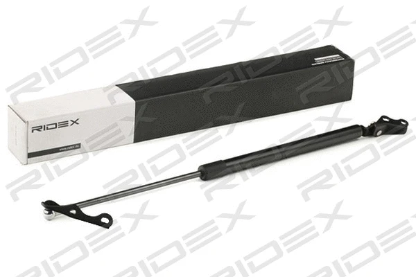Gas Spring, boot/cargo area (219G0606)