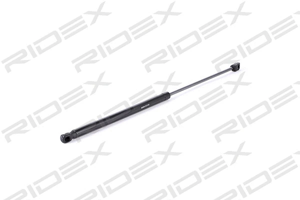 Gas Spring, boot/cargo area (219G0374)