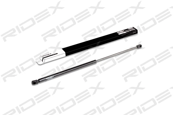 Gas Spring, boot/cargo area (219G0359)