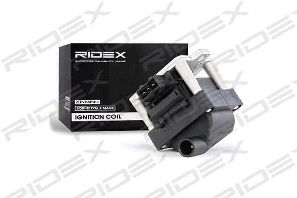 Ignition Coil (689C0013)