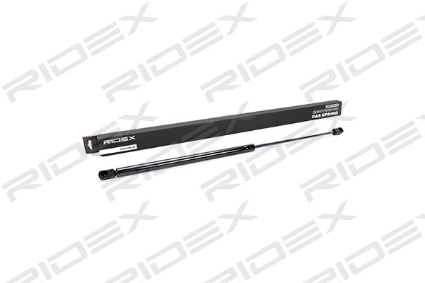 Gas Spring, boot/cargo area (219G0319)