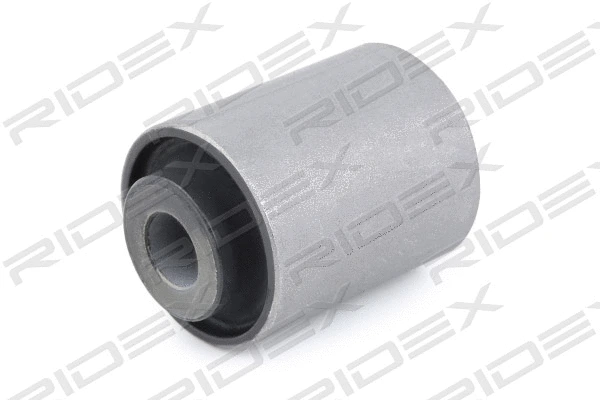Mounting, control/trailing arm