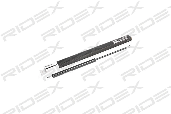 Gas Spring, boot/cargo area (219G0289)