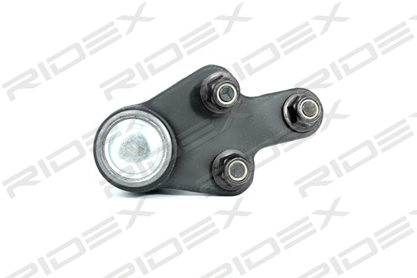 Ball Joint (2462S0131)