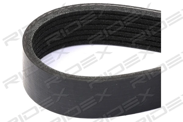 V-Ribbed Belt (305P0344)