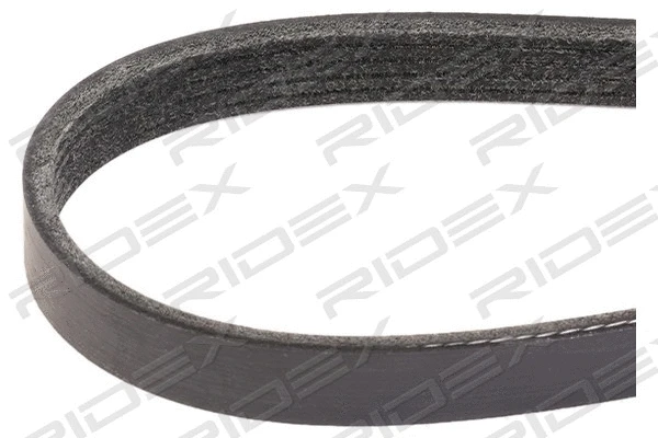 V-Ribbed Belt (305P0392)