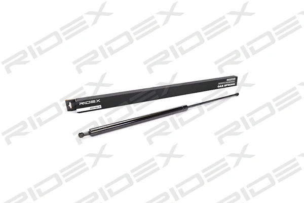 Gas Spring, boot/cargo area (219G0047)