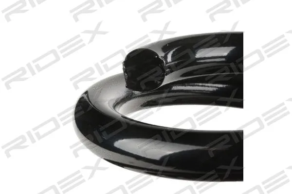 Suspension Spring (188C0062)