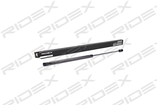 Gas Spring, boot/cargo area (219G0084)