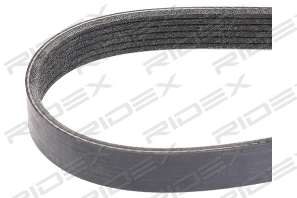 V-Ribbed Belt (305P0450)