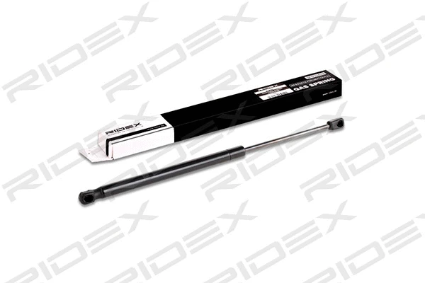 Gas Spring, boot/cargo area (219G0197)