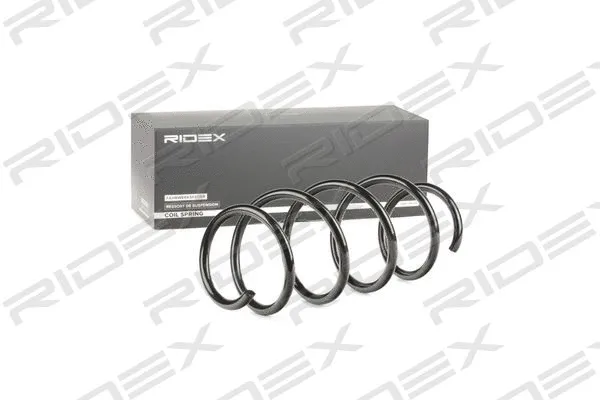 Suspension Spring