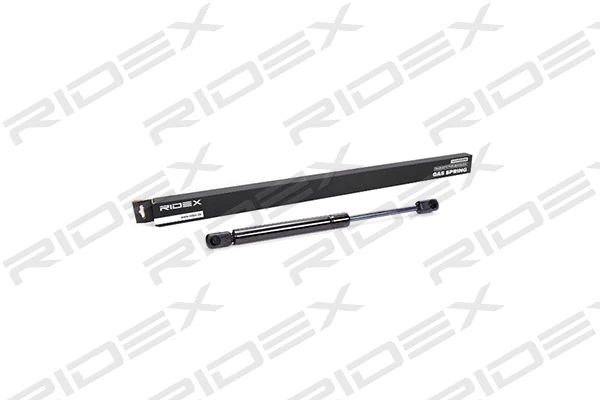 Gas Spring, boot/cargo area (219G0039)