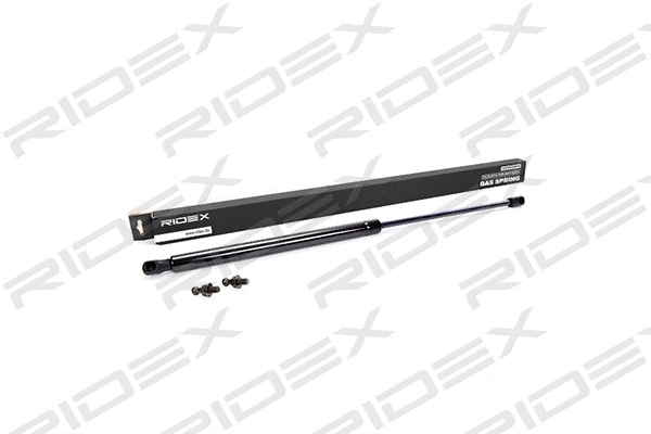 Gas Spring, boot/cargo area (219G0322)