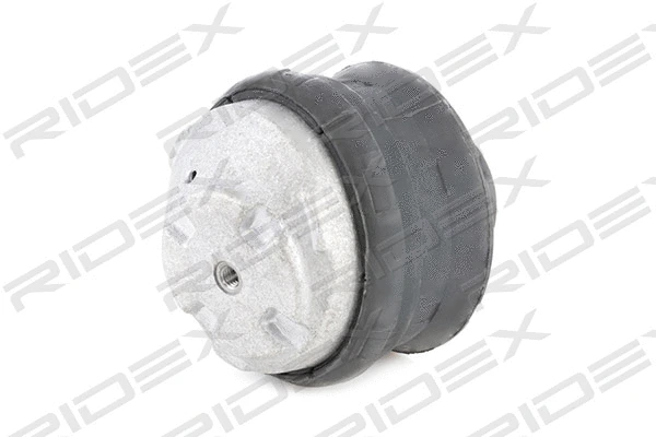Mounting, engine (247E0002)