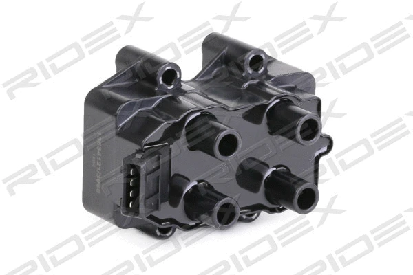 Ignition Coil (689C0300)