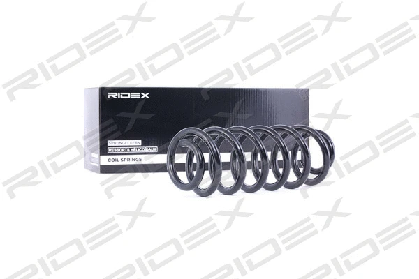 Suspension Spring (188C0083)