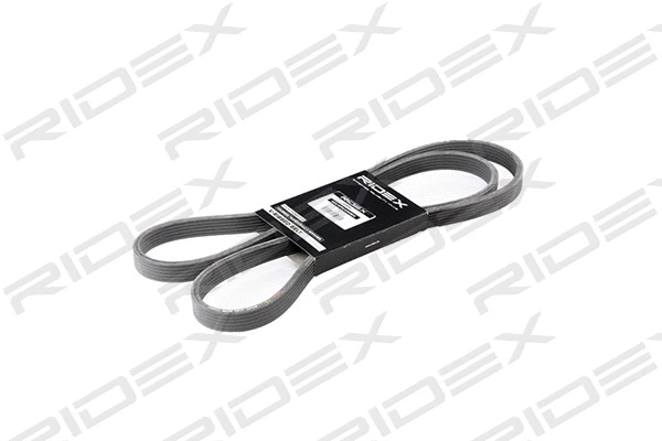 V-Ribbed Belt (305P0191)