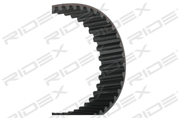 Timing Belt